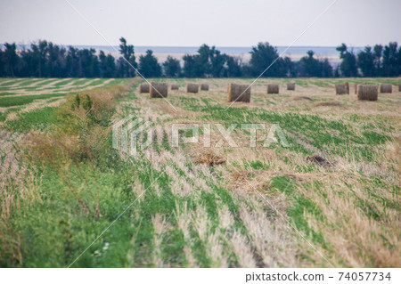 Straw bales on farmland with blue cloudy sky Straw bales on farmland with blue cloudy sky 74057734