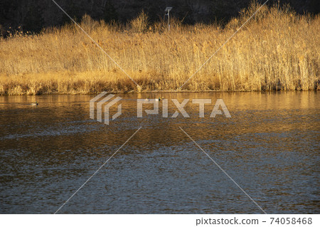 Hwanggang，Hapcheon，Gyeongnam 74058468