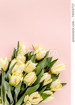 Pastel and yellow tulip flowers bouquet on pink background. Flat lay, top view. Valentine's background. Floral pattern 74058737