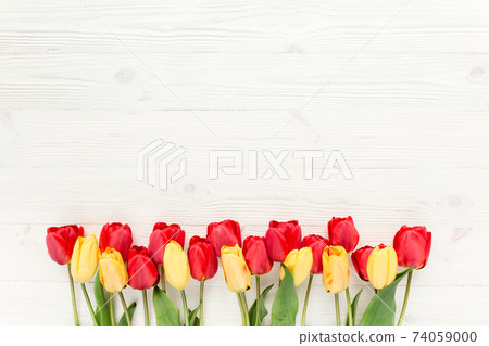 yellow red tulips isolated on a wooden white background. lay flat, top view yellow red tulips isolated on a wooden white background. lay flat, top view 74059000
