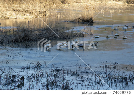 Jeongyang Wetland, Hapcheon-gun, Gyeongnam Jeongyang Wetland, Hapcheon-gun, Gyeongnam 74059776