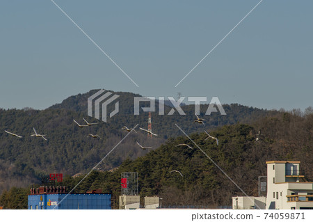 Jeongyang Wetland, Hapcheon-gun, Gyeongnam Jeongyang Wetland, Hapcheon-gun, Gyeongnam 74059871