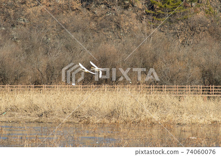 Jeongyang Wetland, Hapcheon-gun, Gyeongnam 74060076