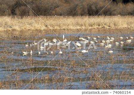 Jeongyang Wetland, Hapcheon-gun, Gyeongnam Jeongyang Wetland, Hapcheon-gun, Gyeongnam 74060154