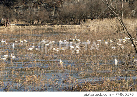 Jeongyang Wetland, Hapcheon-gun, Gyeongnam 74060176