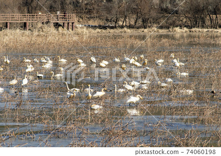 Jeongyang Wetland, Hapcheon-gun, Gyeongnam Jeongyang Wetland, Hapcheon-gun, Gyeongnam 74060198