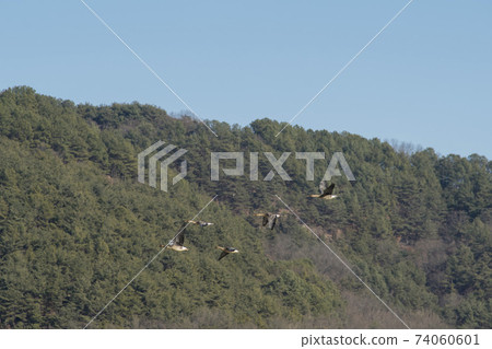 Jeongyang Wetland, Hapcheon-gun, Gyeongnam 74060601