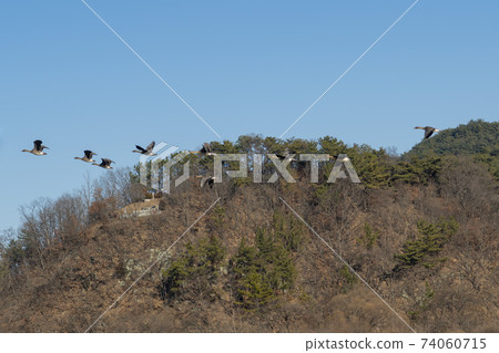 Jeongyang Wetland, Hapcheon-gun, Gyeongnam 74060715