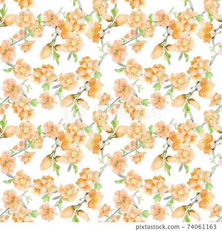 Beautiful peach flowers watercolor seamless... - Stock Illustration ...