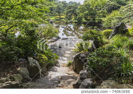 Fresh green image Edo Castle Garden Trees and greens Green leaves Fresh green 74061698