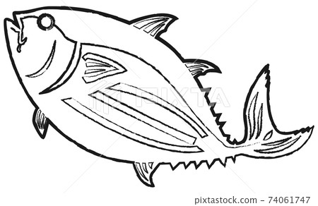 Bonito line art 74061747