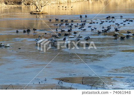 Jeongyang Wetland, Hapcheon-gun, Gyeongnam Jeongyang Wetland, Hapcheon-gun, Gyeongnam 74061948