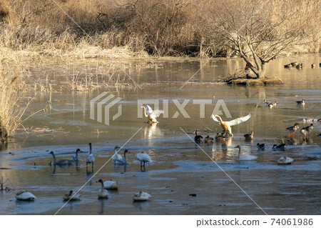 Jeongyang Wetland, Hapcheon-gun, Gyeongnam Jeongyang Wetland, Hapcheon-gun, Gyeongnam 74061986