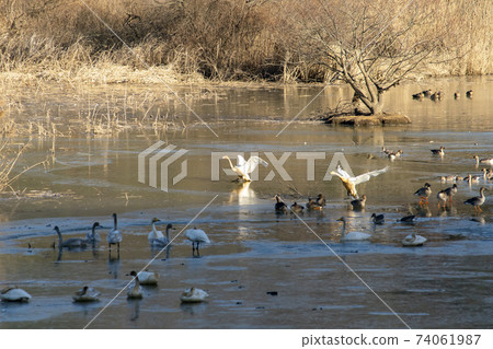 Jeongyang Wetland, Hapcheon-gun, Gyeongnam 74061987