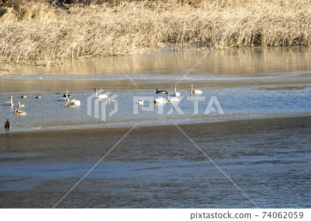 Jeongyang Wetland, Hapcheon-gun, Gyeongnam Jeongyang Wetland, Hapcheon-gun, Gyeongnam 74062059