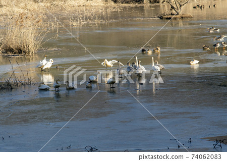Jeongyang Wetland, Hapcheon-gun, Gyeongnam 74062083