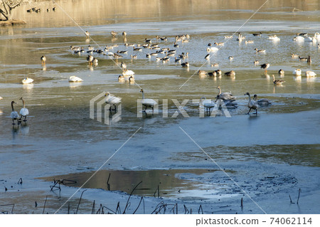 Jeongyang Wetland, Hapcheon-gun, Gyeongnam 74062114