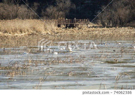 Jeongyang Wetland, Hapcheon-gun, Gyeongnam 74062386