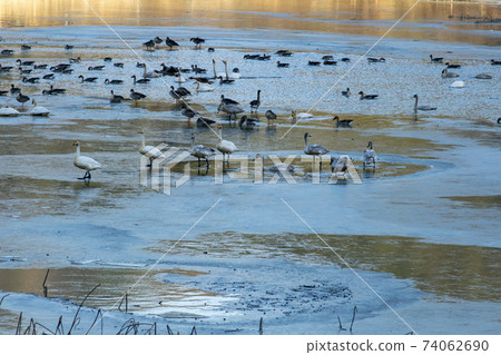 Jeongyang Wetland, Hapcheon-gun, Gyeongnam Jeongyang Wetland, Hapcheon-gun, Gyeongnam 74062690