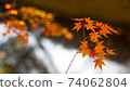 小秋葉 74062804