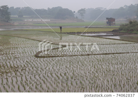 wetlands with paddy firm and forest wetlands with paddy firm and forest 74062837