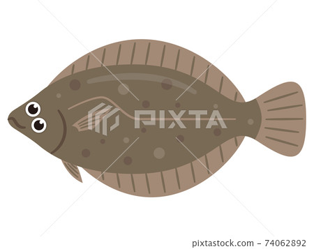 比目魚圖 比目魚圖 74062892