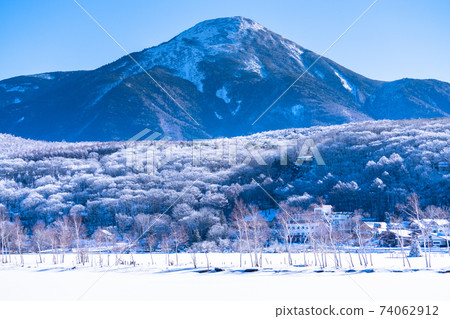 《Nagano Prefecture》 Winter Shirakaba Lake / Tateshina Highland 74062912