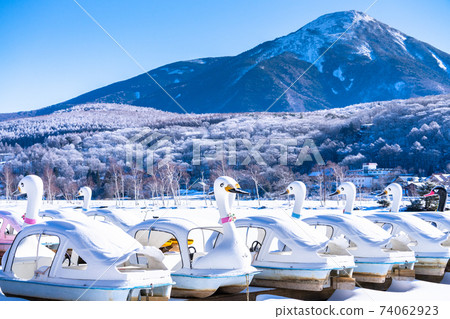 《Nagano Prefecture》 Winter Shirakaba Lake / Tateshina Highland 74062923