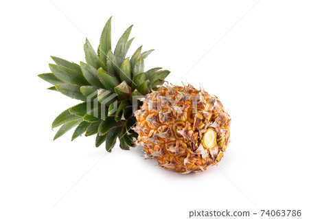 Ripe pineapple fruits isolated on a white background. Ripe pineapple fruits isolated on a white background. 74063786