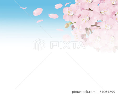 Sakura_Sakura_Pink_Back illustration Sakura_Sakura_Pink_Back illustration 74064299