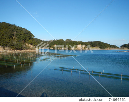 Sea lettuce seaweed farming scenery (Shima City, Mie Prefecture) Sea lettuce seaweed farming scenery (Shima City, Mie Prefecture) 74064361