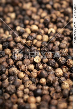 close-up of kampot pepper peppercorns drying in cambodia 74065003