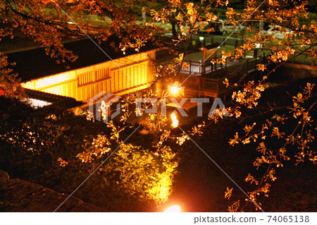 Fukui Prefectural Office, Moat Sakura Season-Spring Fukui Prefectural Office, Moat Sakura Season-Spring 74065138