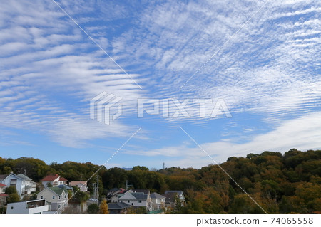 在居民區(愛知縣日進市岩崎町竹野山)的秋天天空蔓延 在居民區(愛知縣日進市岩崎町竹野山)的秋天天空蔓延 74065558
