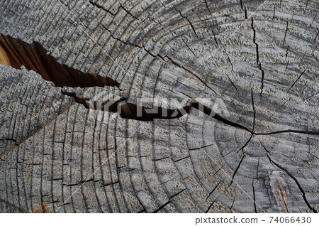 老破解日誌年輪 74066430