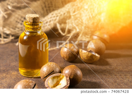 Ripe macadamia nuts and a glass bottle with natural oil Source of natural. Selective focus. Ripe macadamia nuts and a glass bottle with natural oil Source of natural. Selective focus. 74067428