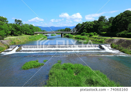 Fresh green Takano River Fresh green Takano River 74068160