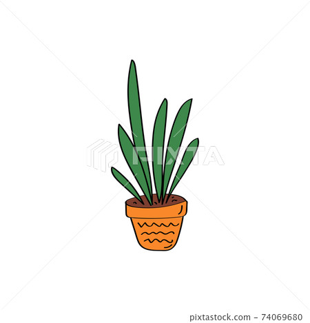 Sansevieria sign. House plant. Flowers in pot. Hand drawn vector doodle illustration Sansevieria sign. House plant. Flowers in pot. Hand drawn vector doodle illustration 74069680