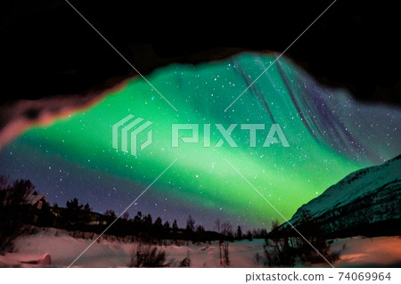 Aurora seen through a gap in a tree 74069964