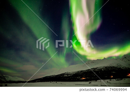 Light aurora in pink Light aurora in pink 74069994