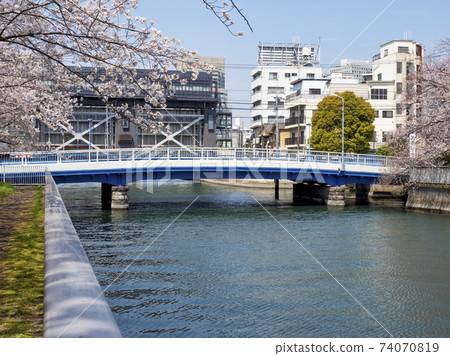 Oshima River water gate and cherry blossoms Oshima River water gate and cherry blossoms 74070819