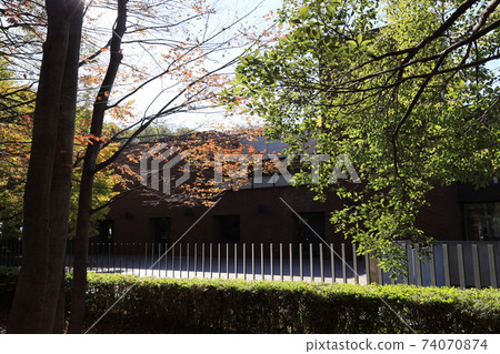秋天的上野公園：東京美治的黃葉 74070874