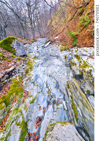 Petrechema Ravine, Valles Occidentales Natural Park, Spain Petrechema Ravine, Valles Occidentales Natural Park, Spain 74070983