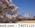 Cherry blossoms around Gyeongpo Lake 74071110