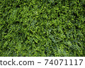 Wall covered with artificial plants 74071117