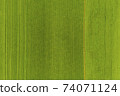 Rice fields with green rice grown in the sky 74071124