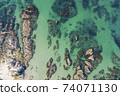 Coastal rock of Galnam Port taken from the sky 74071130