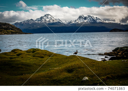 Patagonia Tierra del fuego national park Argentina Patagonia Tierra del fuego national park Argentina 74071863