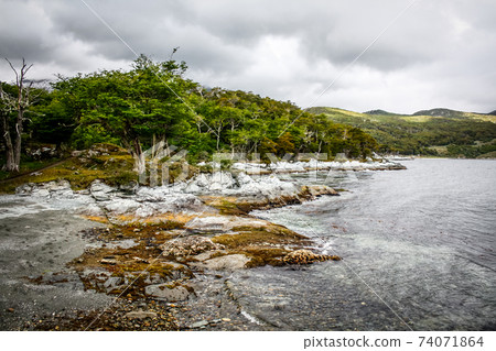 Patagonia Tierra del fuego national park Argentina Patagonia Tierra del fuego national park Argentina 74071864