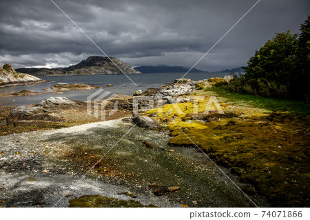 Patagonia Tierra del fuego national park Argentina Patagonia Tierra del fuego national park Argentina 74071866